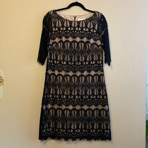 Eliza J lace dress / black & cream